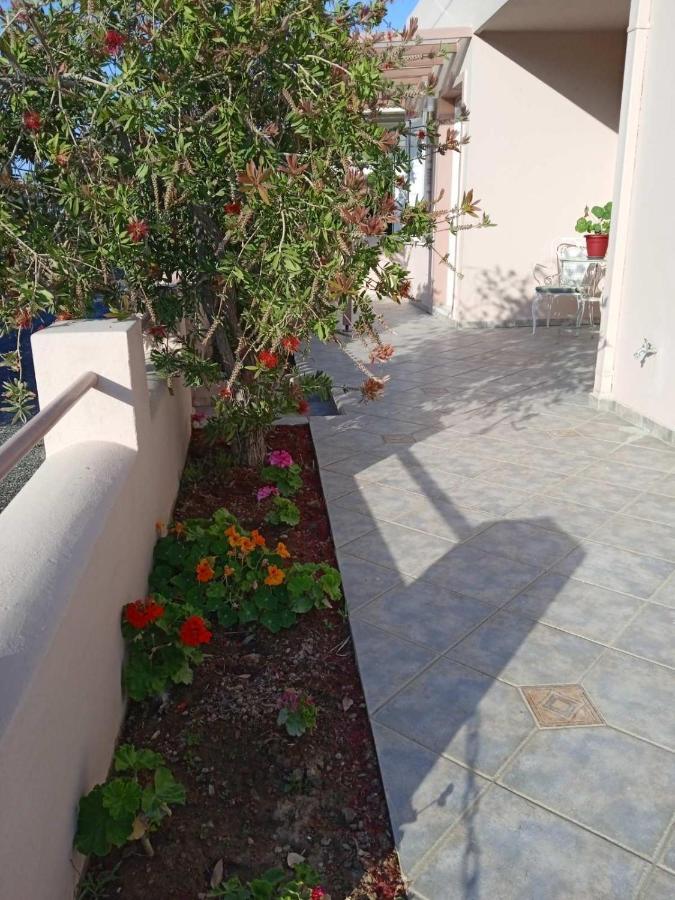Mesaria  Andros Lighthouse Apartments מראה חיצוני תמונה