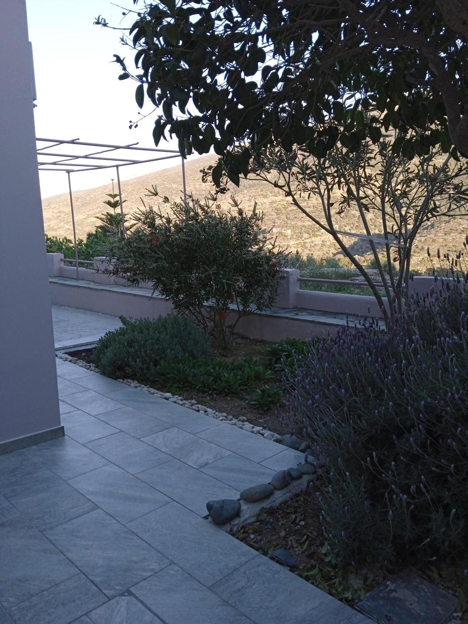 Mesaria  Andros Lighthouse Apartments מראה חיצוני תמונה